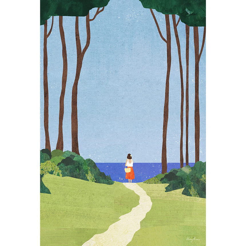 Day Trip, Coastal Forest