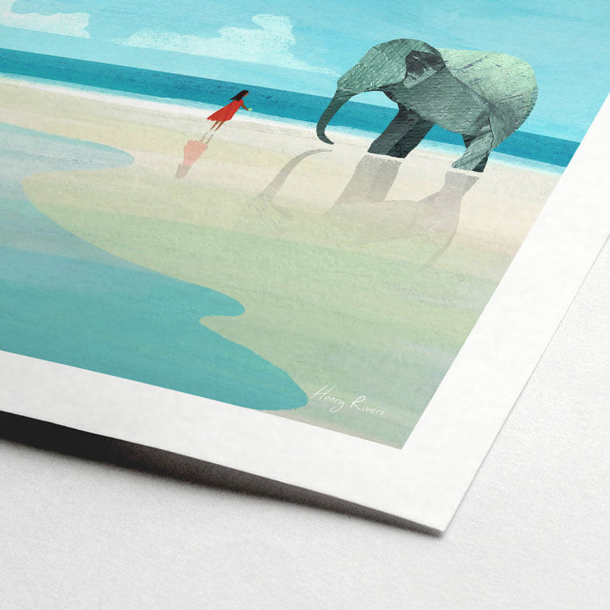 Elephant Beach