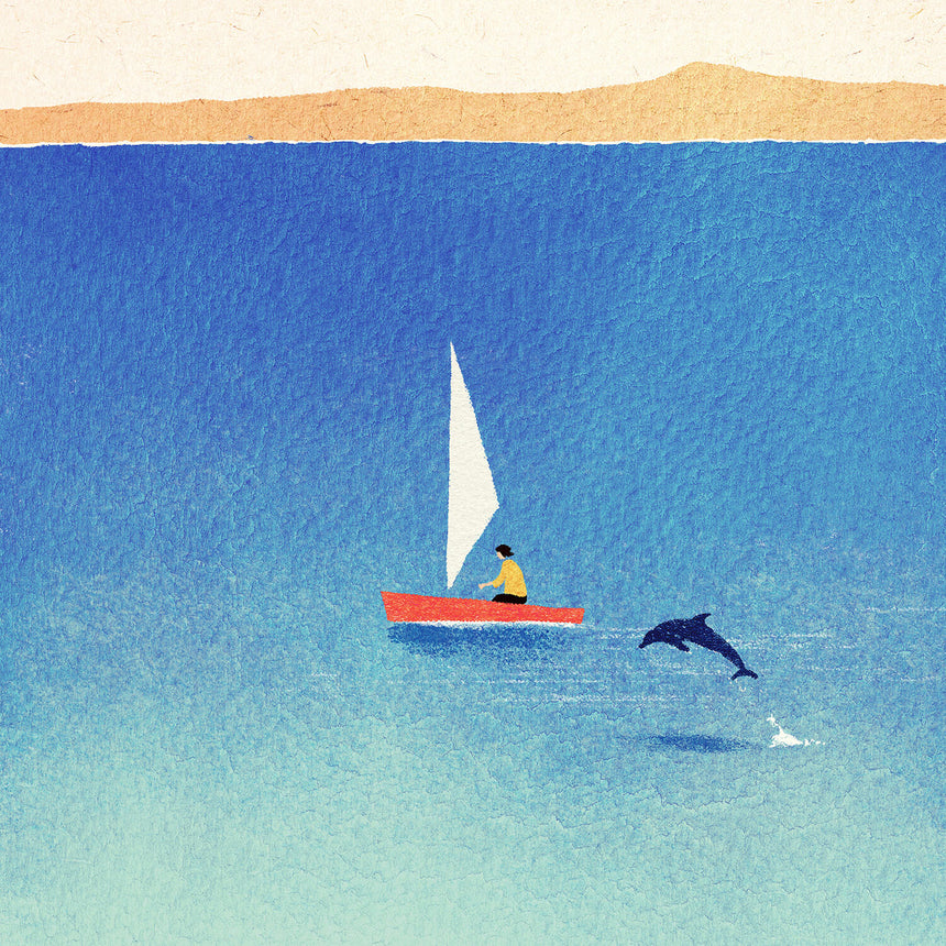 My Dolphin Friend