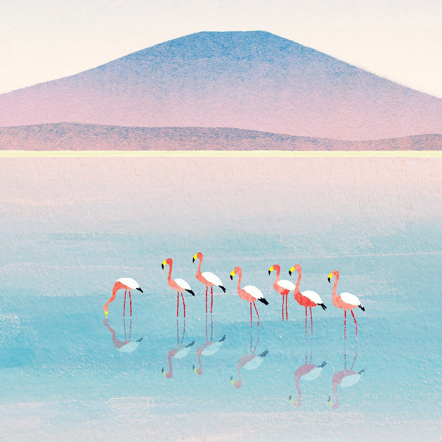 Flamingo Lake