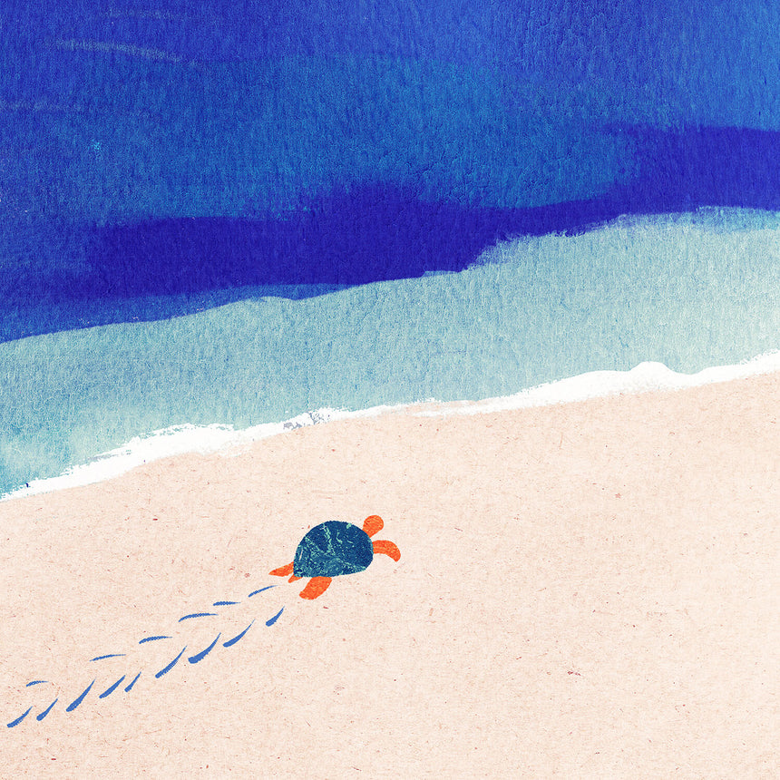 Following the Sun