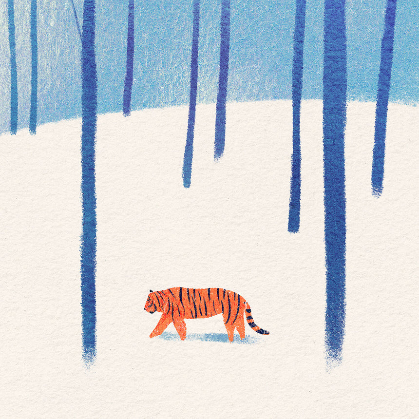 Tiger in the Snow