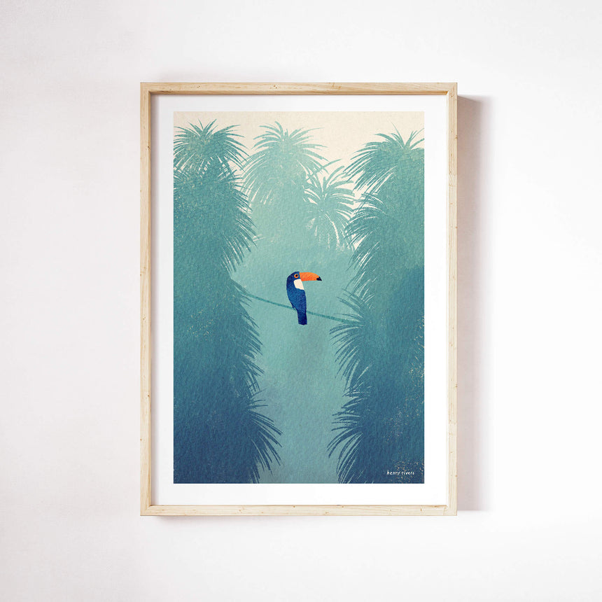Toucan