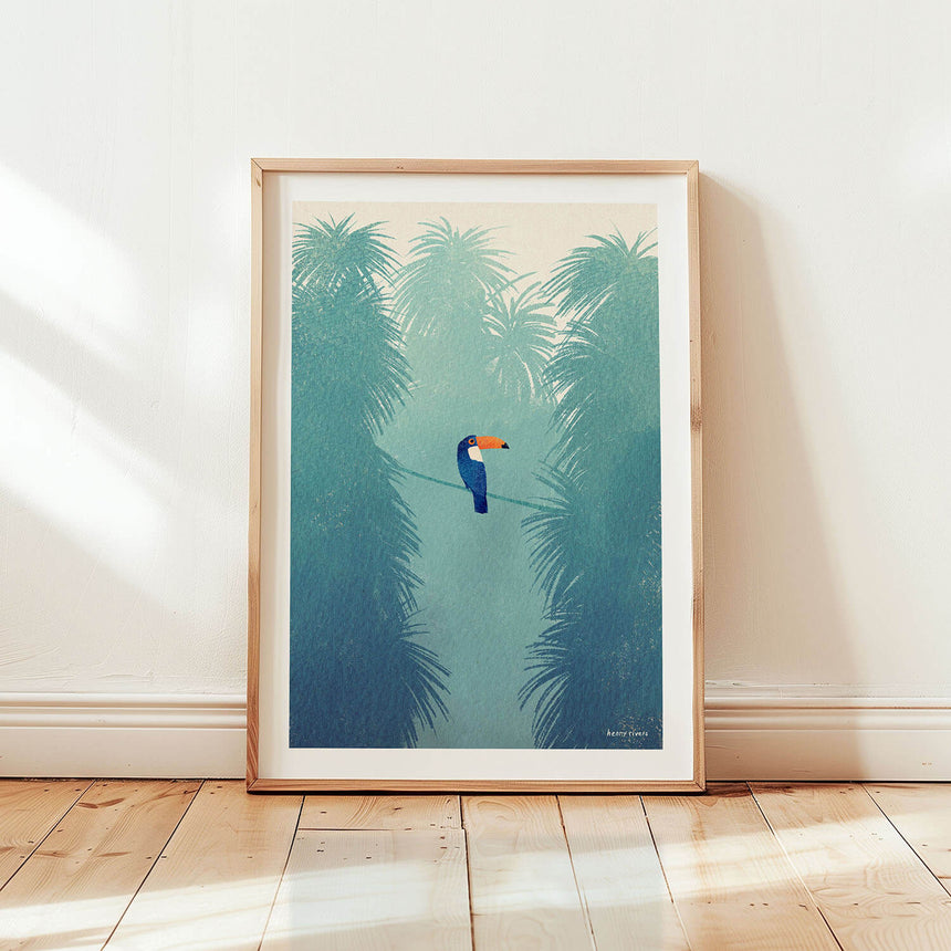 Toucan
