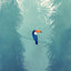 Toucan
