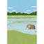 Elephants, Wetlands